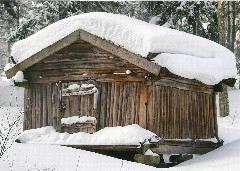 winter_in finnland_Wi11.jpg
