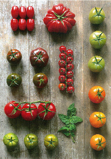 tomaten_variationen_GO08.jpg