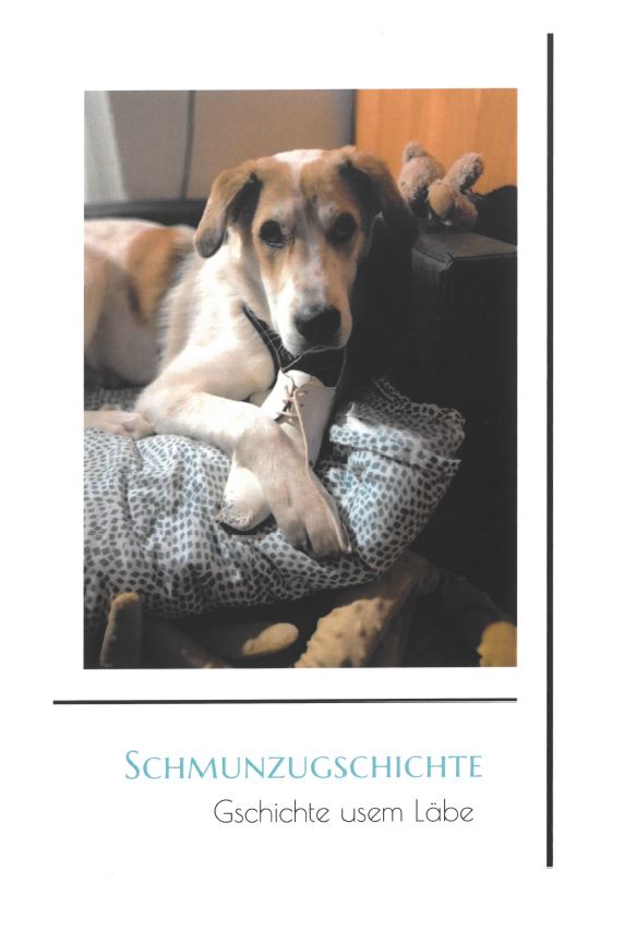 Schmunzugschichte