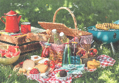 picknick_St11_neu.jpg